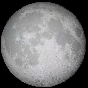 Meet your Posher, Wayne